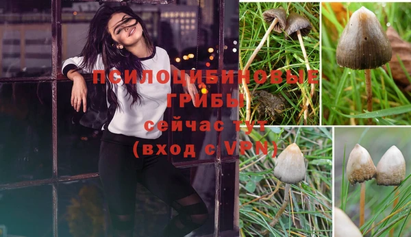 a pvp Богородск